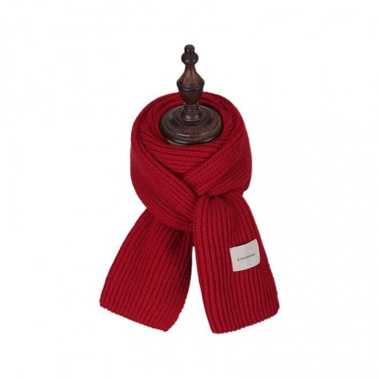 Refined Warm Winter Scarf